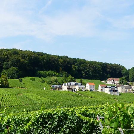 B&B En Champagne Cramant Kültér fotó