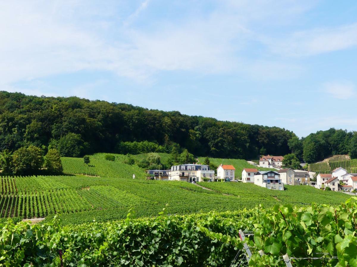 B&B En Champagne Cramant Kültér fotó
